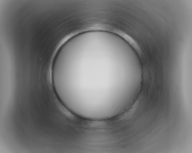 X0000111381238200907311047