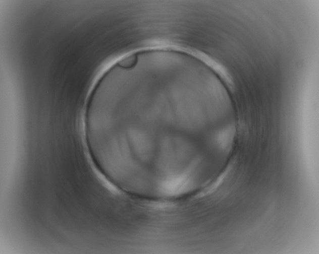 X0000111381239200907311047