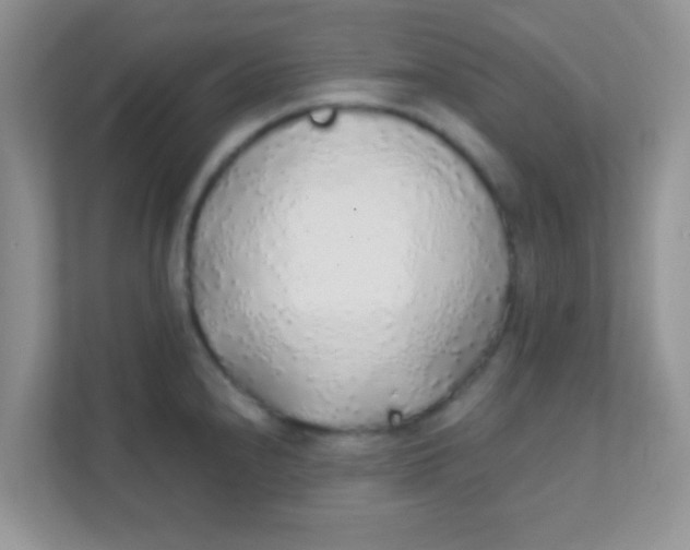 X0000111381240200907311047