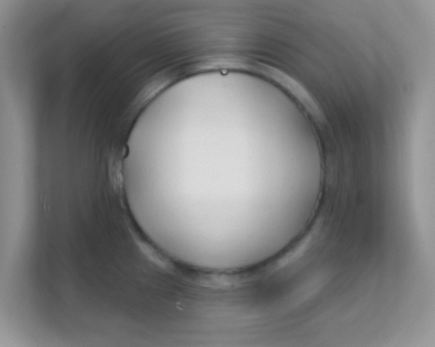 X0000111381241200907311047