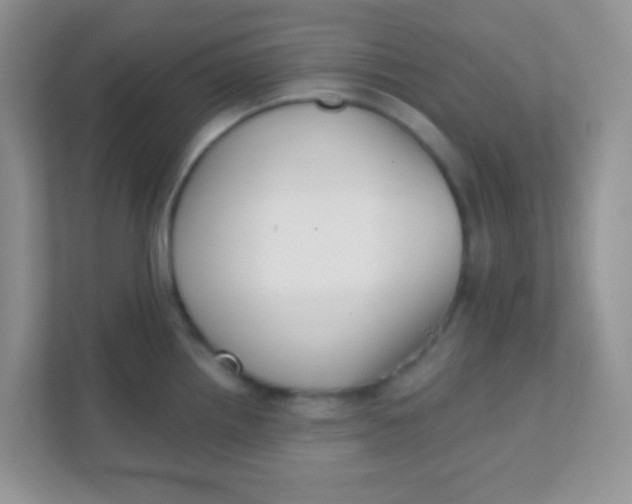 X0000111381242200907311047