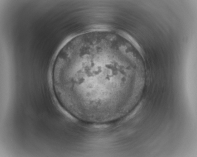 X0000111381243200907311047