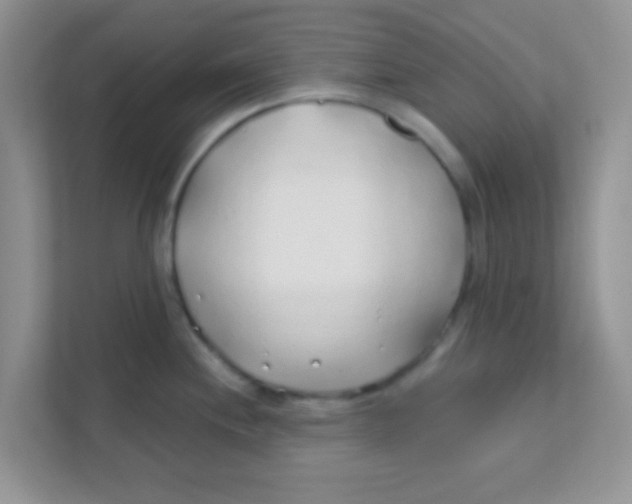 X0000111381244200907311047