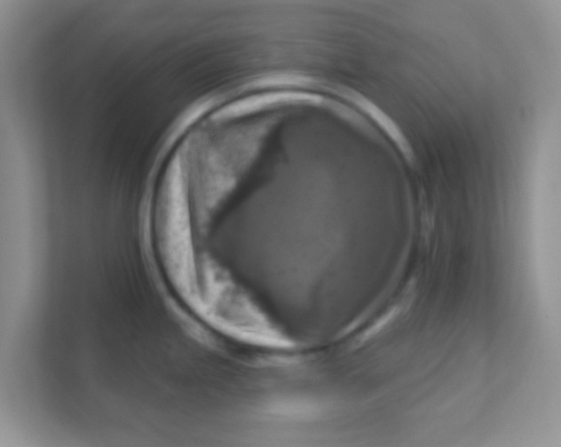 X0000111381245200907311047