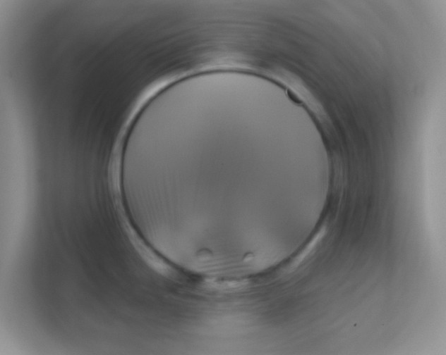 X0000111381246200907311047