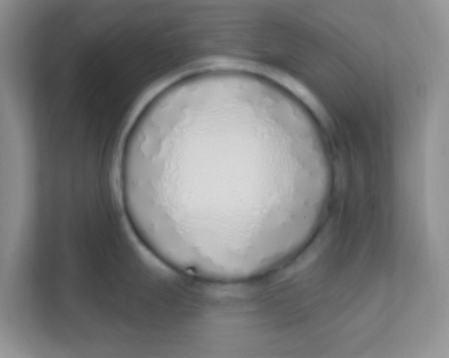 X0000111381247200907311047