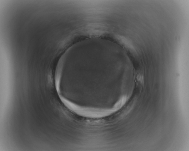 X0000111381252200907311046