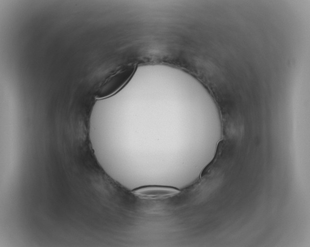 X0000111381253200907311046