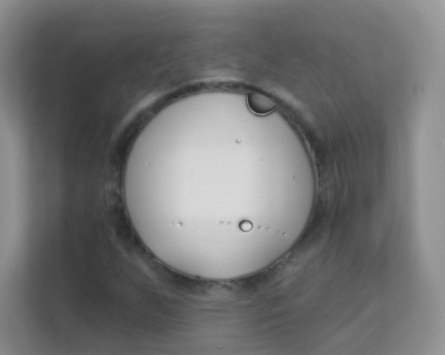 X0000111381255200907311046