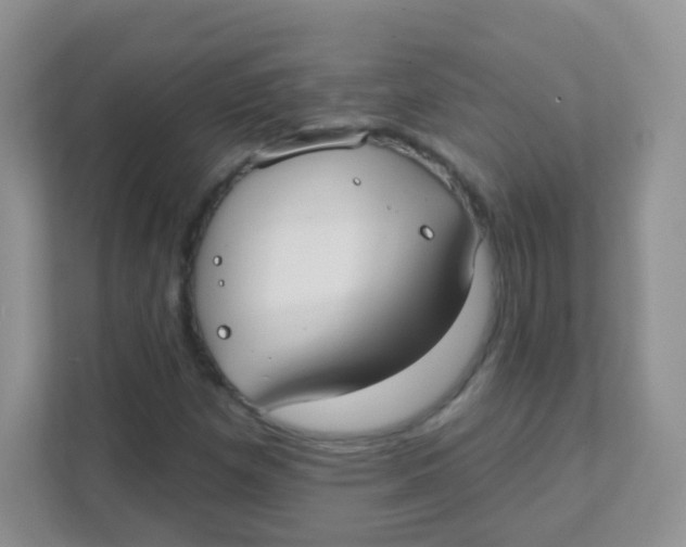 X0000111381257200907311046