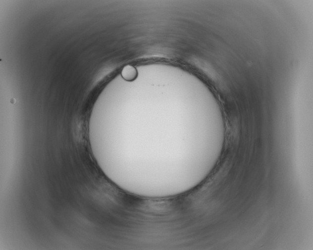 X0000111381258200907311046