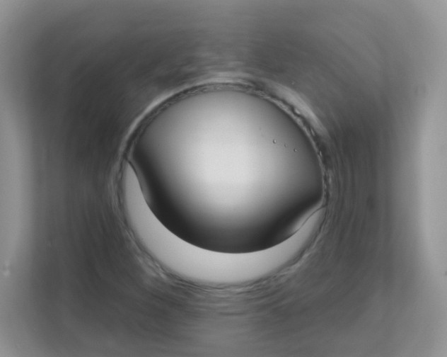 X0000111381260200907311046