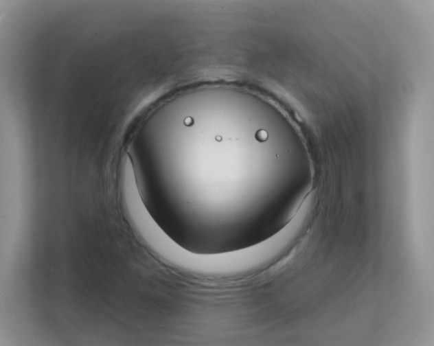 X0000111381261200907311046