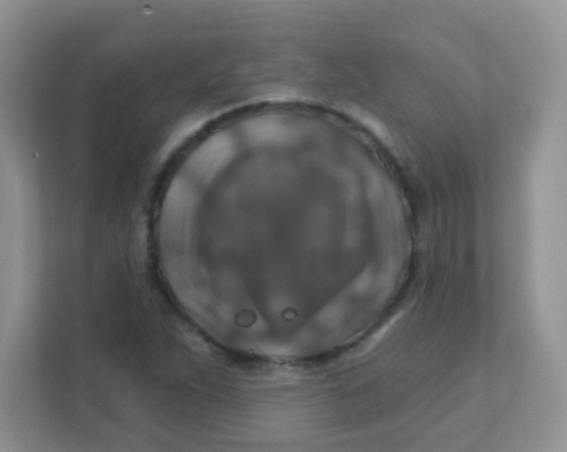 X0000111381263200907311046