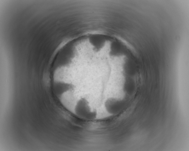 X0000111381266200907311046