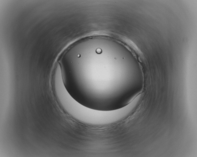 X0000111381268200907311046