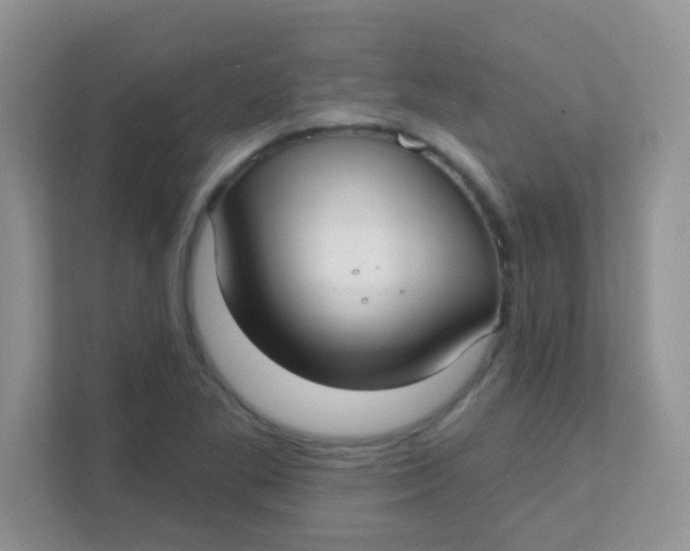 X0000111381269200907311046