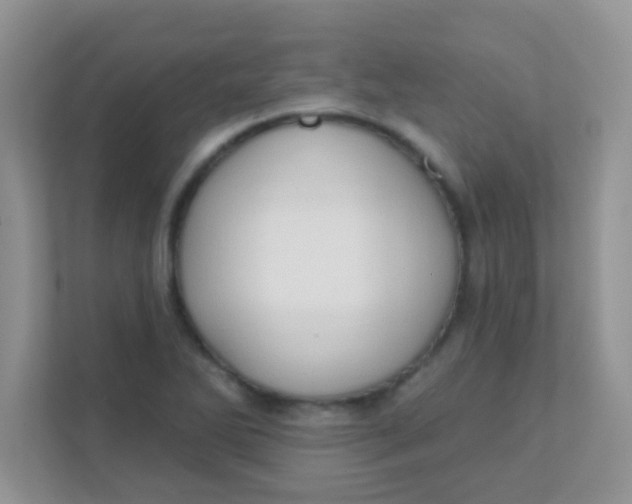 X0000111381270200907311046