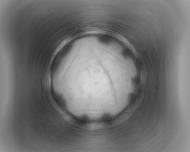 X0000111381274200907311046