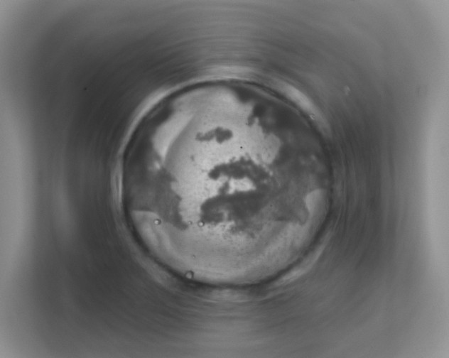 X0000111381275200907311046