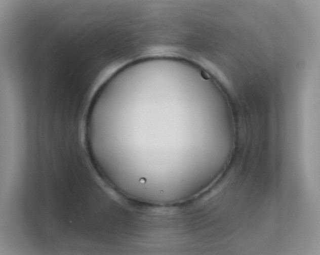 X0000111381277200907311046