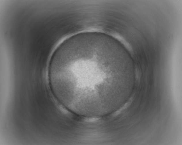 X0000111381278200907311046