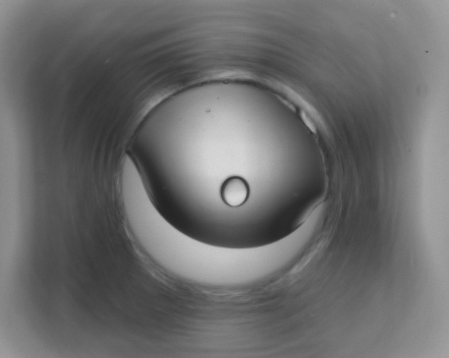 X0000111381281200907311046