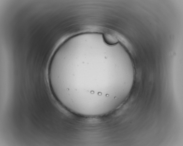 X0000111381283200907311046