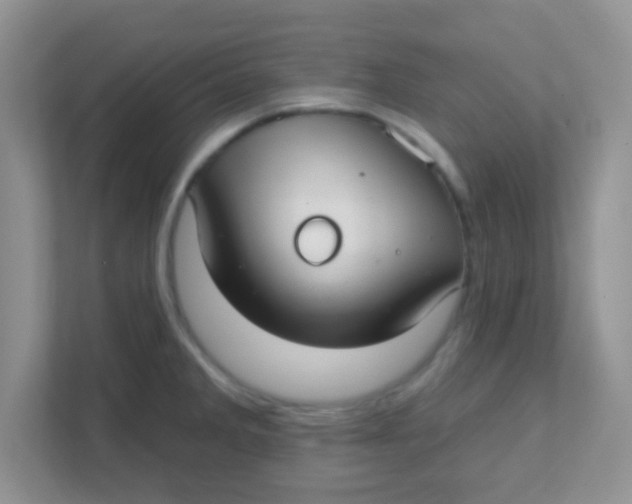 X0000111381285200907311046