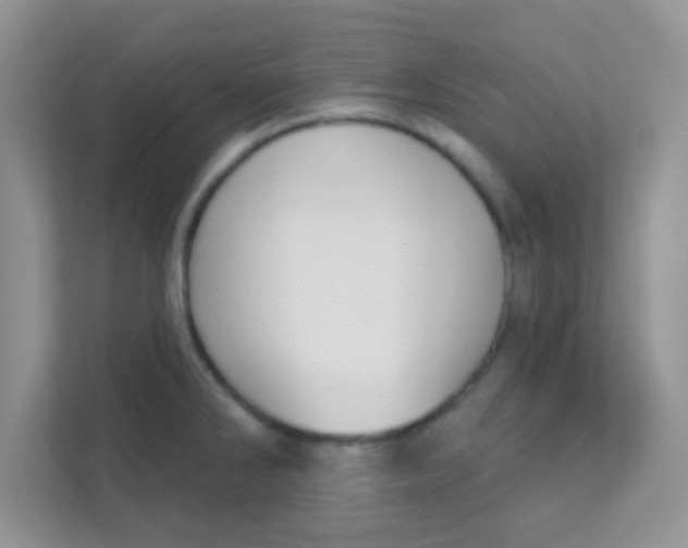 X0000111381286200907311046