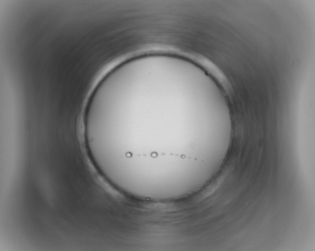 X0000111381287200907311046