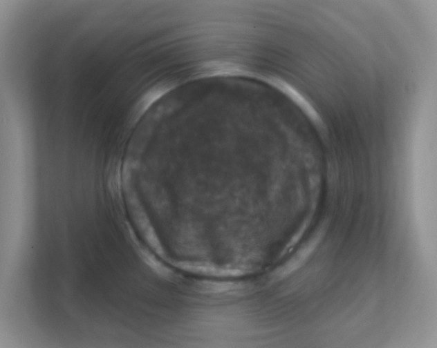 X0000111381289200907311046