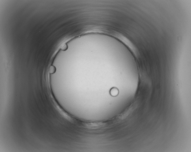 X0000111381290200907311046