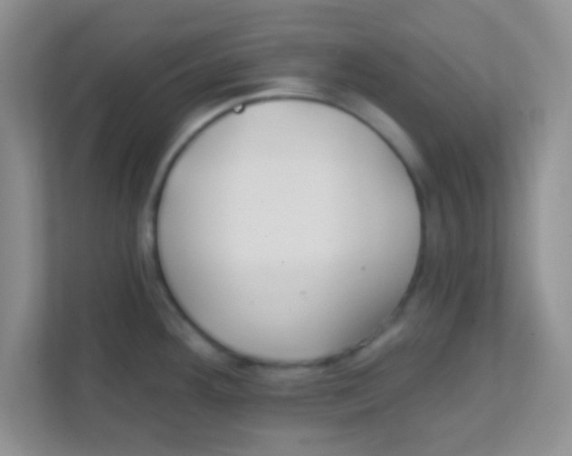 X0000111381292200907311046