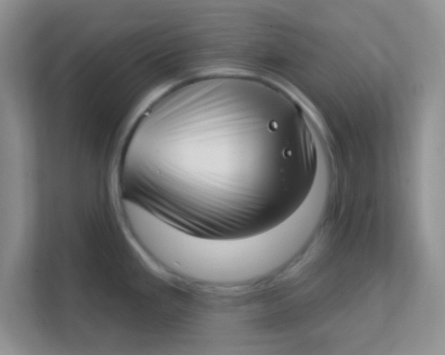 X0000111381293200907311046