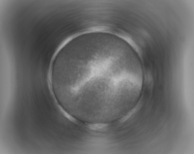 X0000111381294200907311046