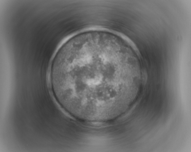 X0000111381295200907311046