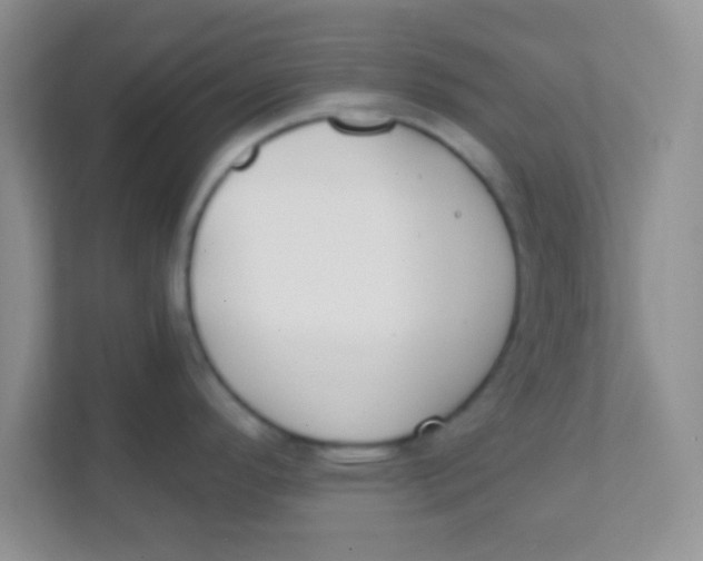 X0000111381296200907311046