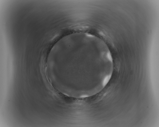 X0000111381297200907311045