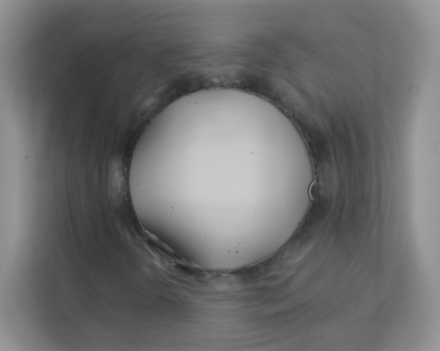 X0000111381298200907311045