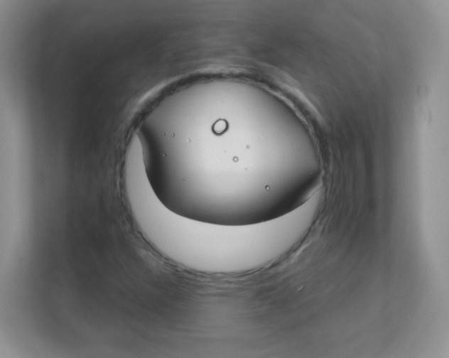 X0000111381304200907311045