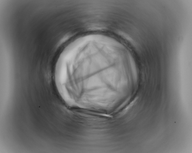 X0000111381306200907311045