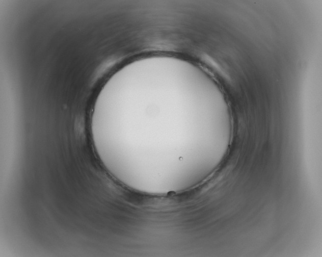 X0000111381307200907311045