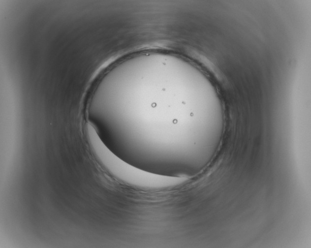 X0000111381308200907311045