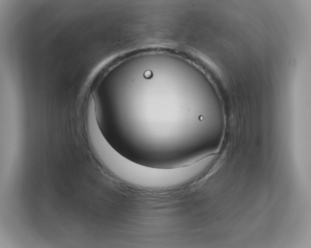 X0000111381310200907311045