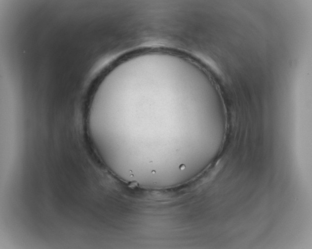 X0000111381311200907311045