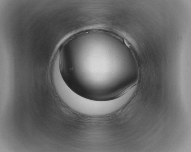 X0000111381316200907311045