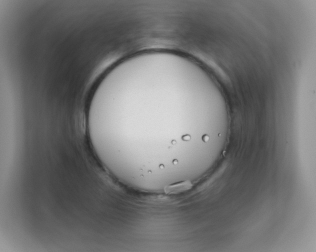 X0000111381317200907311045