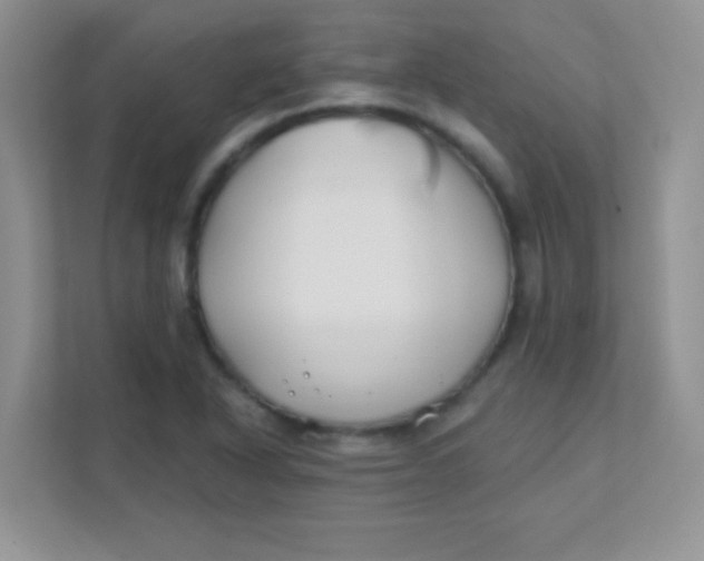 X0000111381318200907311045