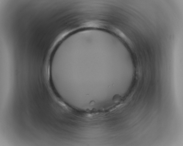 X0000111381323200907311045